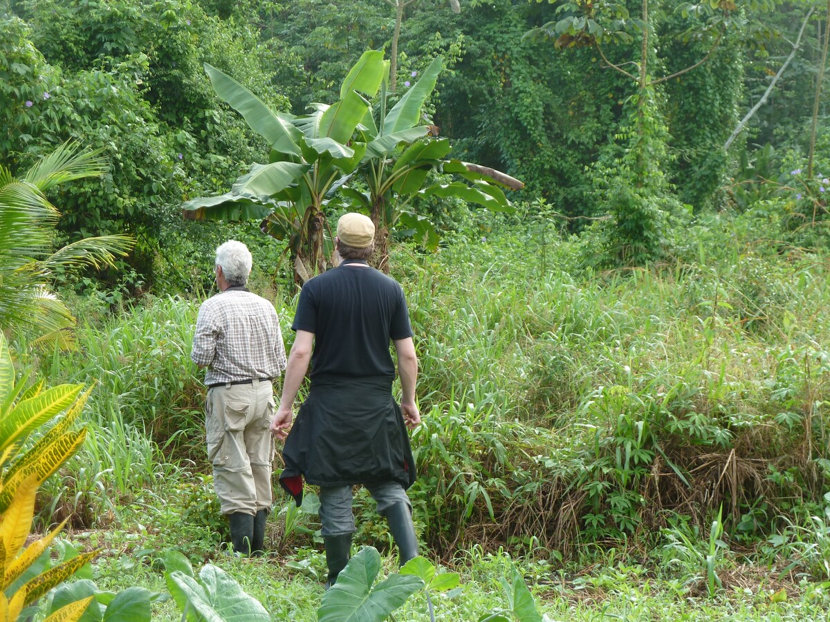 Two individuals are seen walking through a lush green landscape, surrounded by dense vegetation and tall plants. A banana tree is prominent in the foreground, with various shades of green foliage creating a natural backdrop. The scene suggests an exploration of the reserve's rich biodiversity.