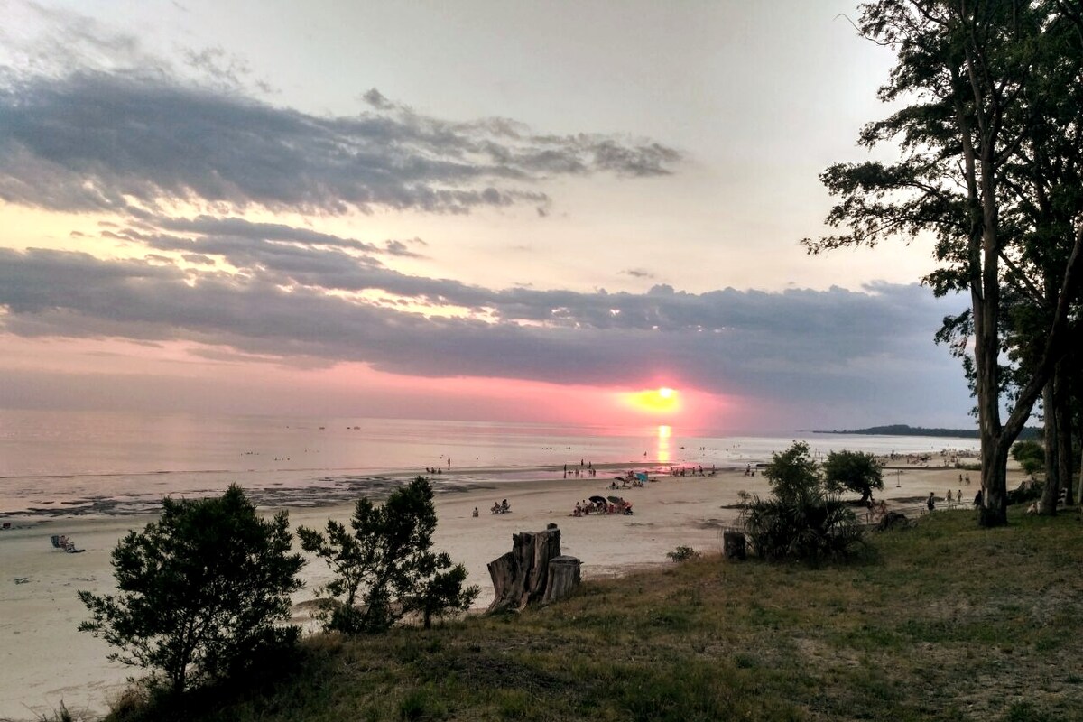 A serene beach scene showcases a colorful sunset over a calm ocean. Silhouettes of people can be seen enjoying the shore, with trees framing the view in the foreground. Soft sand and gentle waves create a tranquil atmosphere.