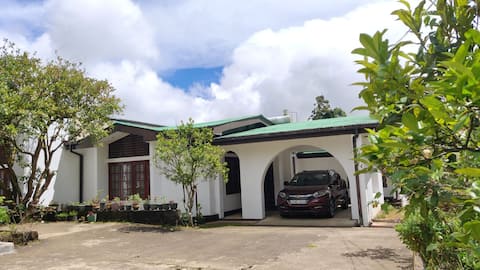 Hillside Bungalow