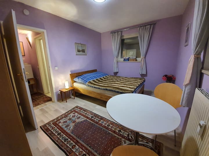 Very quiet apartment in a peaceful city quarter