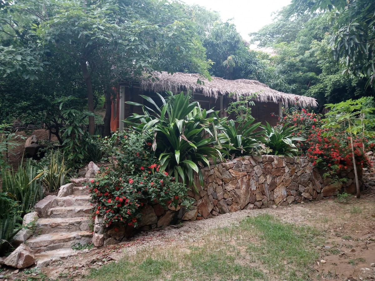 A rustic cabin is nestled among lush greenery, featuring a thatched roof and surrounded by vibrant flowering plants. A stone pathway leads to the cabin, enhancing the natural setting.