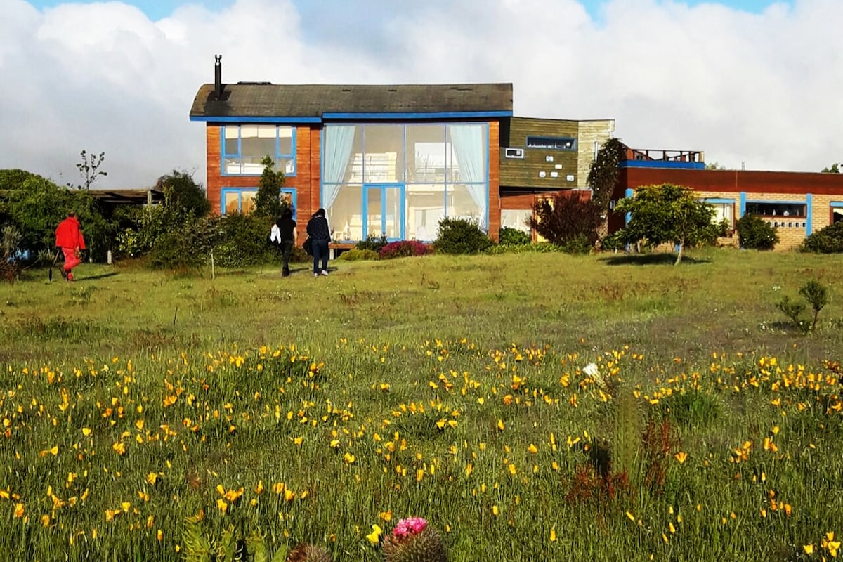 A spacious house featuring large glass windows, surrounded by a lush garden filled with wildflowers. The structure is complemented by vibrant blue accents, set against a backdrop of gentle hills and cloudy skies. Guests can be seen enjoying the open yard.