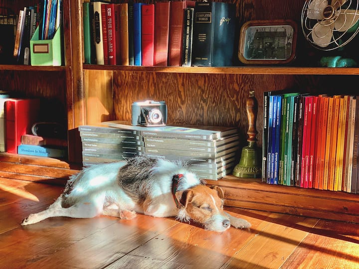 10 Best PetFriendly Airbnbs In Dahlonega, Updated 2024 Trip101