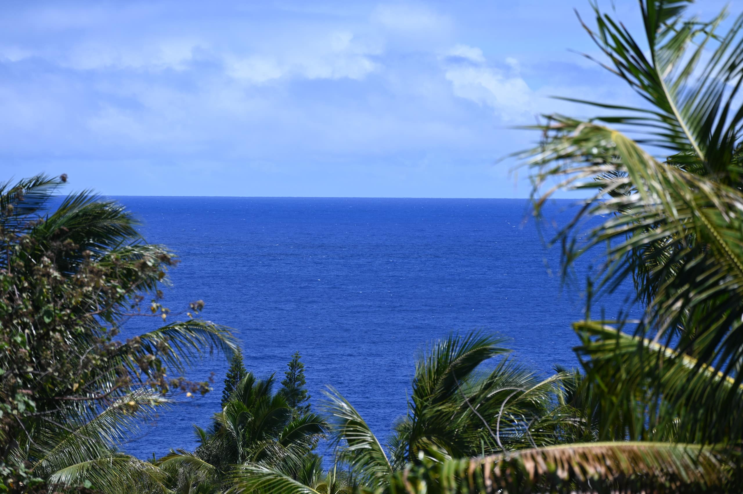 Villa in Pahoa · ★4.8 · 3 bedrooms · 5 beds · 2 baths - Image 43