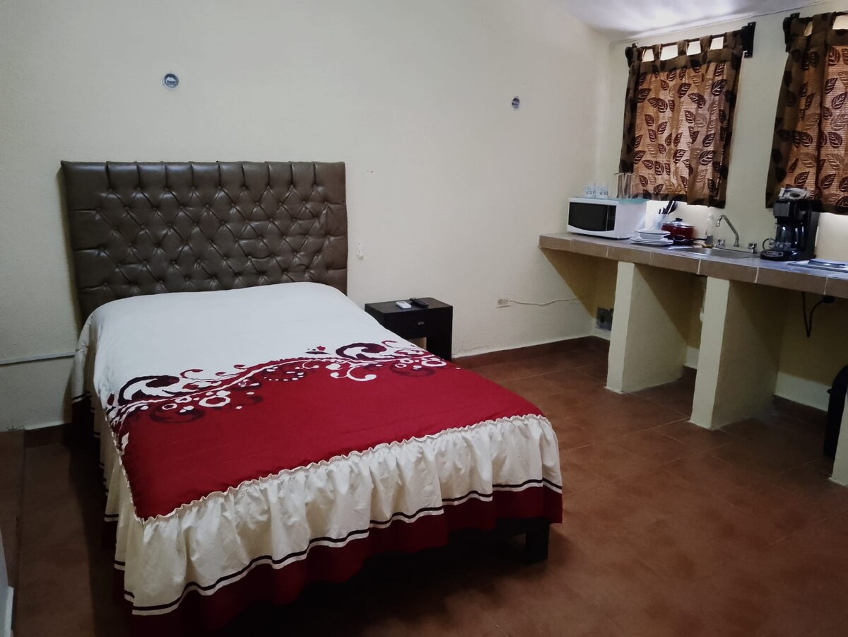 Airbnb con mejor rendimiento: D2 Spacious Apartment with Large Terrace with AC en Fraccionamiento La Ciudadela