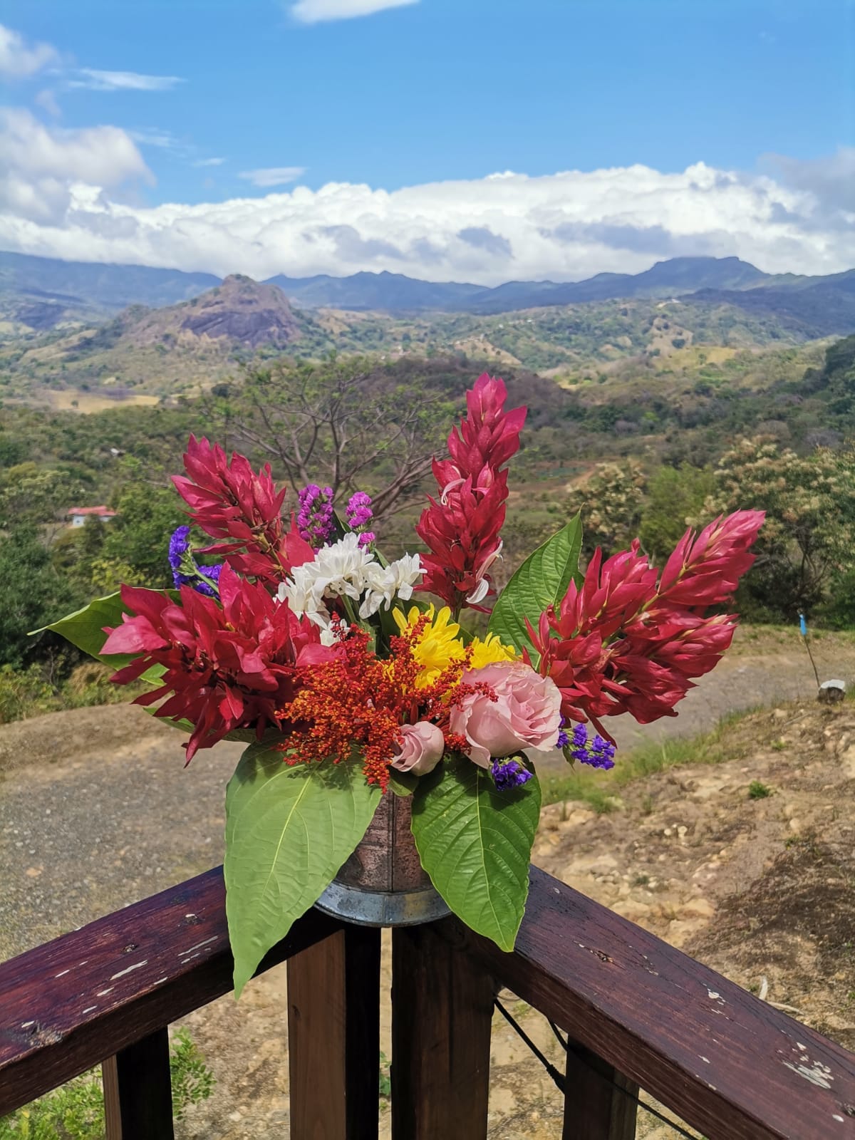 A vibrant arrangement of tropical flowers is set in a metal vase, with lush green leaves framing the display. The backdrop features rolling hills and a clear blue sky, showcasing the natural landscape and distant mountains.