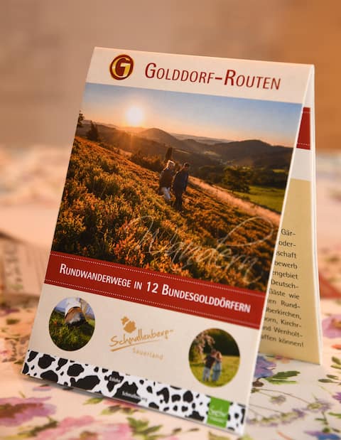 Erfolgreiche Airbnb-Immobilie: Richters Hof auf der Hiege vacation home in Schmallenberg
