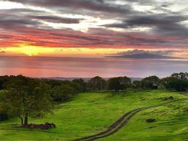 Hike on Scenic Trails at a Luxury Home on 7 Acres gallery image 5