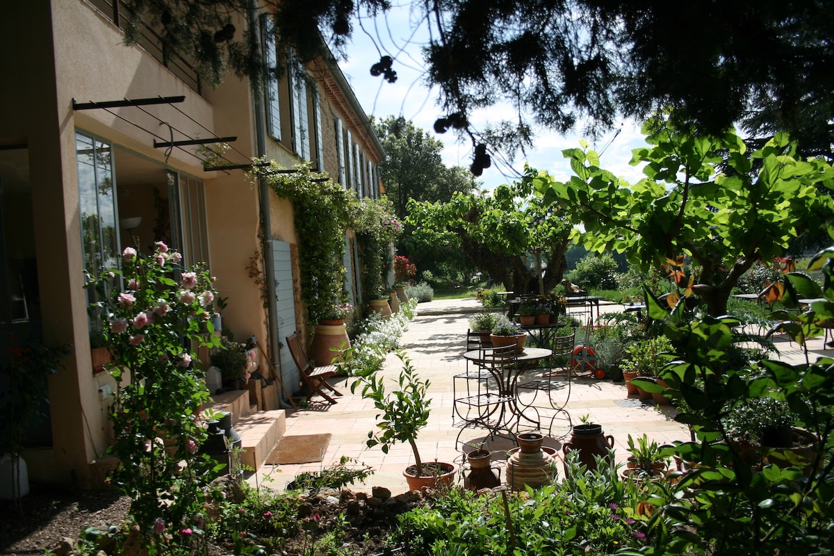 A spacious outdoor area is surrounded by lush greenery, featuring a variety of plants and flowers. Several terracotta pots are arranged along the stone pathway. A small dining table with chairs is placed under the shade of large trees, inviting relaxation in a tranquil setting.