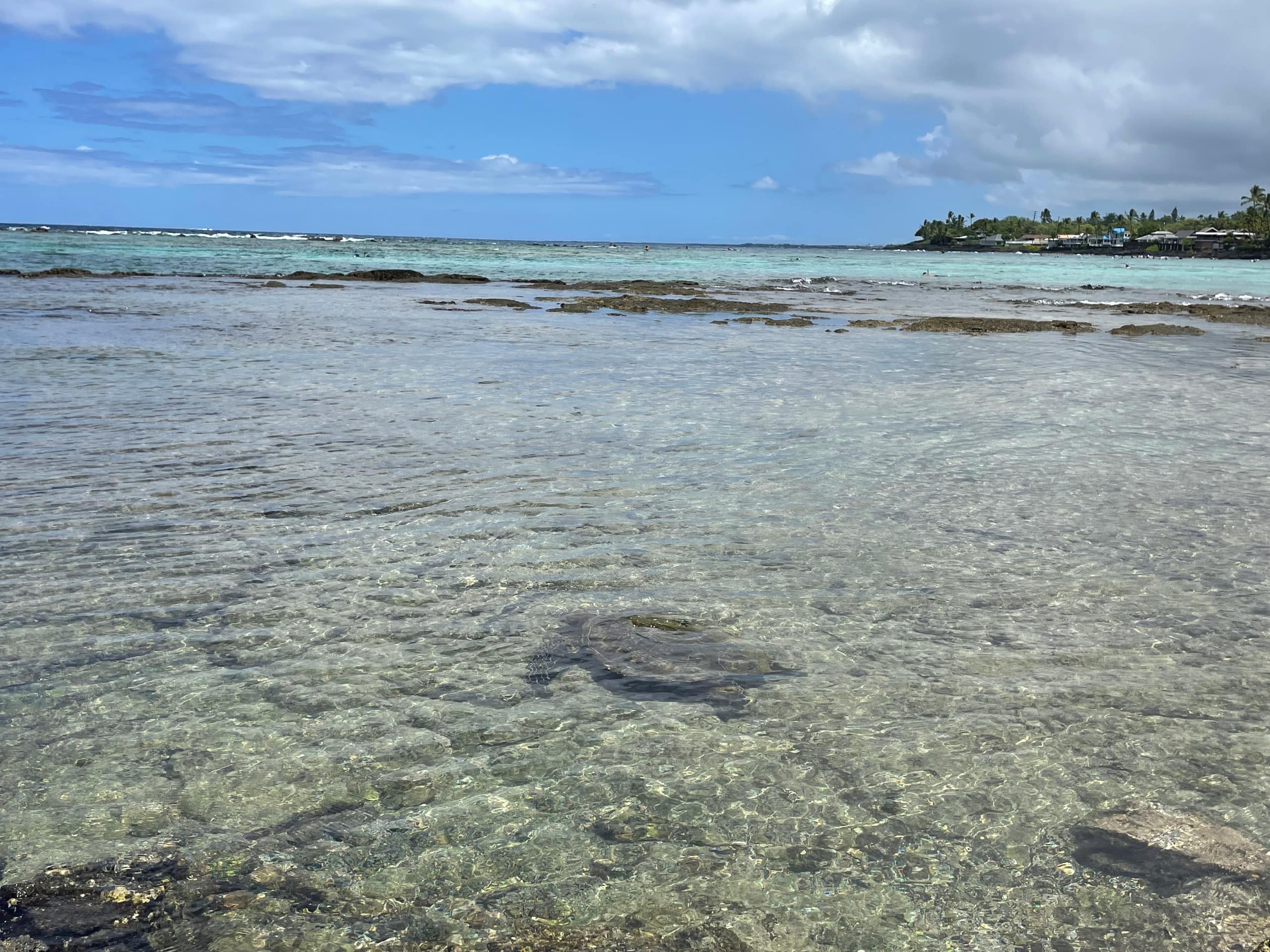 Condo in Kailua-Kona · ★4.94 · 2 bedrooms · 3 beds · 2 baths - Image 33