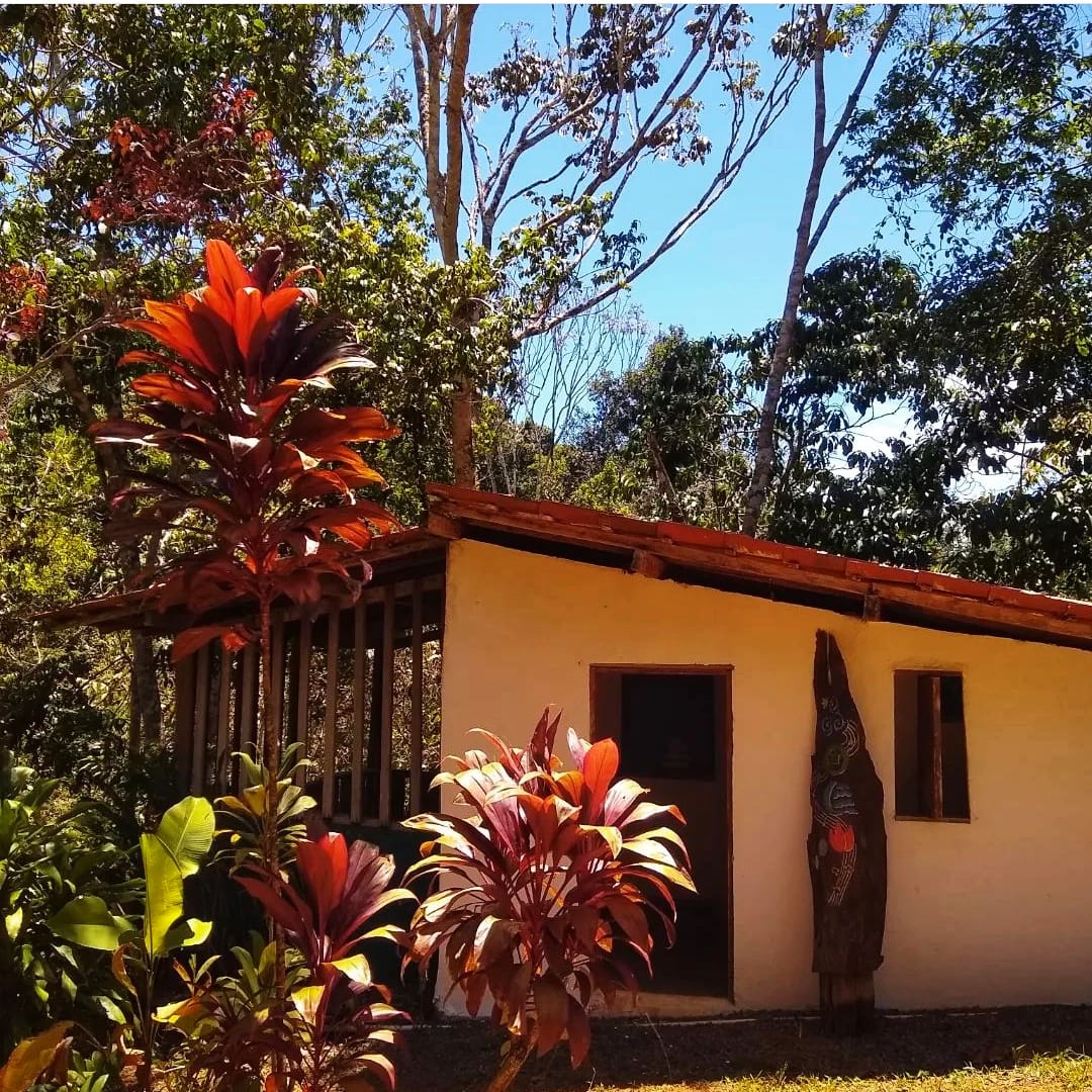 A simple yet cozy building is nestled among lush greenery. Tall trees and vibrant plants create a natural setting. The structure features a wooden door and a carved decoration on the exterior wall, complementing the serene environment.