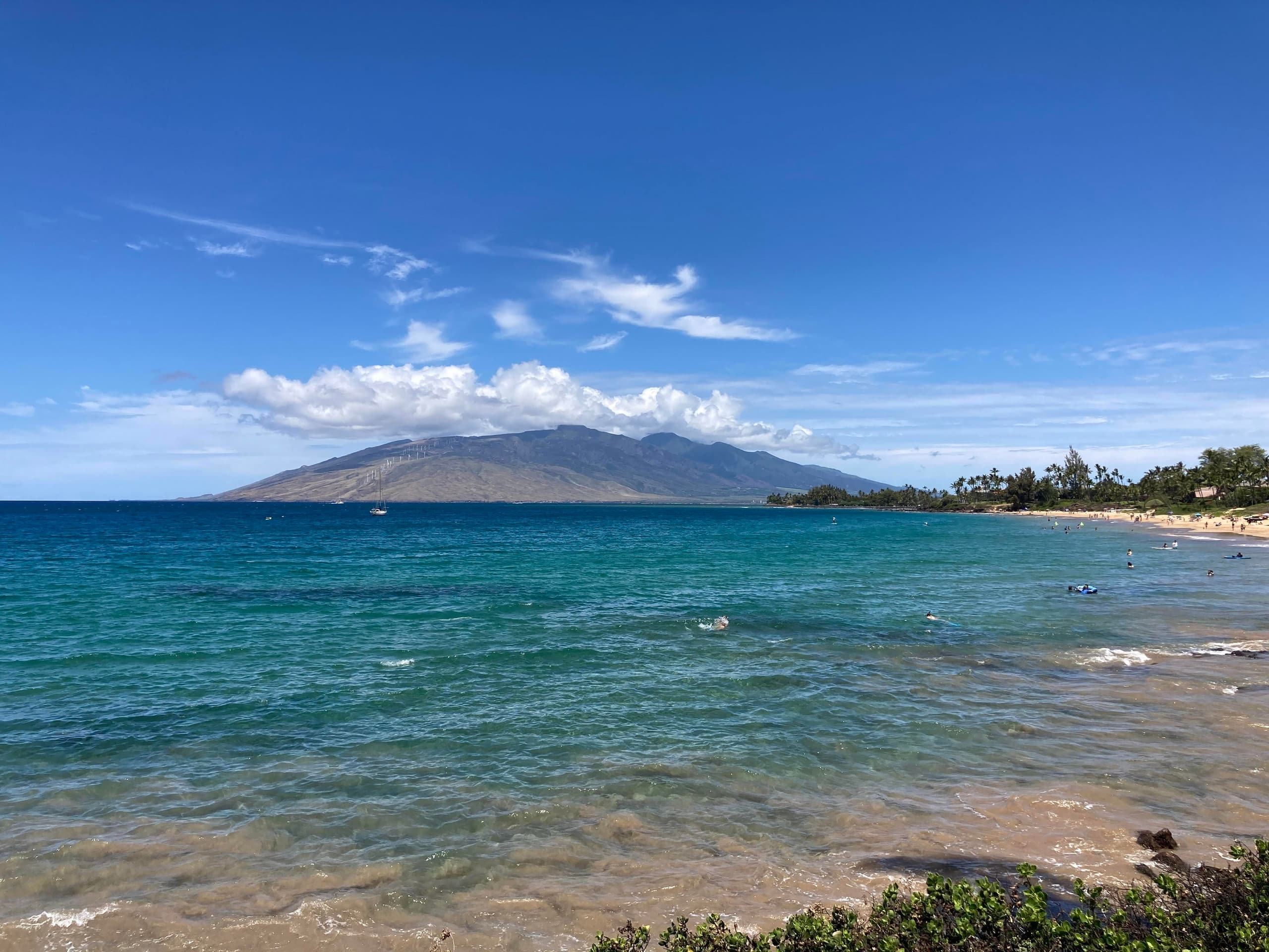 *Last Minute Deal*Oceanfront OceanView Best Beach - Image 16