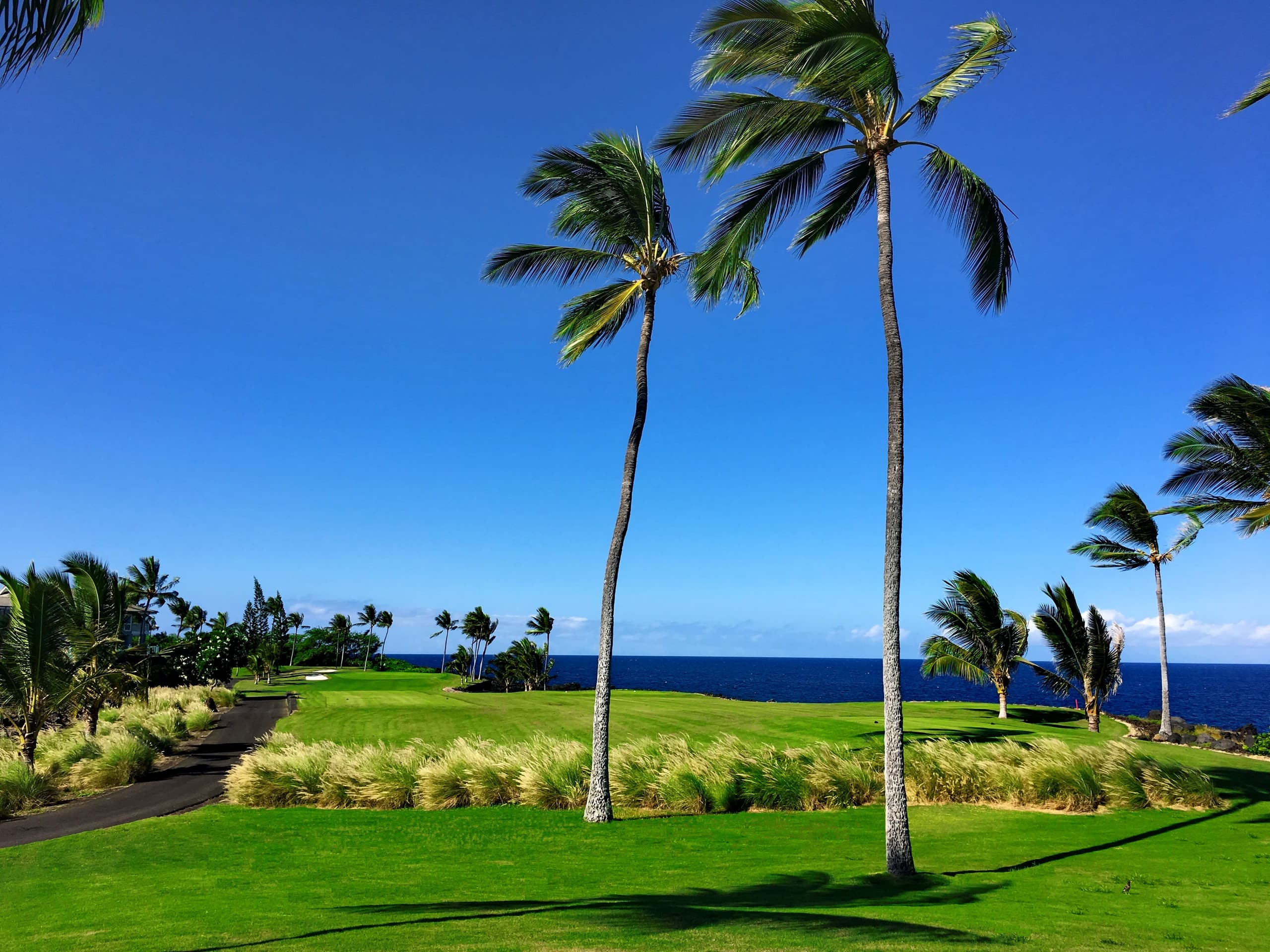Condo in Kailua-Kona · ★4.88 · 3 bedrooms · 4 beds · 2.5 baths - Image 14