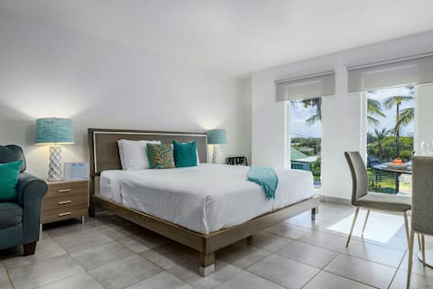 Turibana Deluxe Suite #1 w/ King Size Bed & Pool