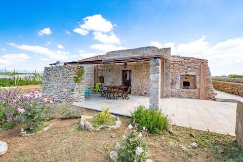 Dimora Ulivi: Your Oasis of Silence in Nature