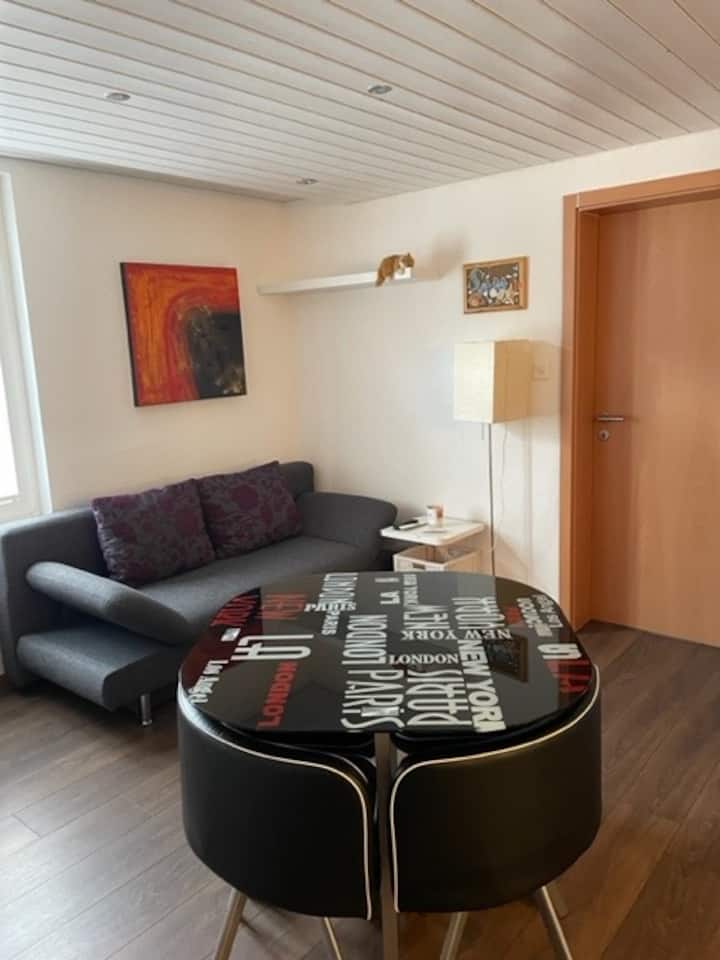Großzügige Wohnung In Herisau - Sankt Gallen