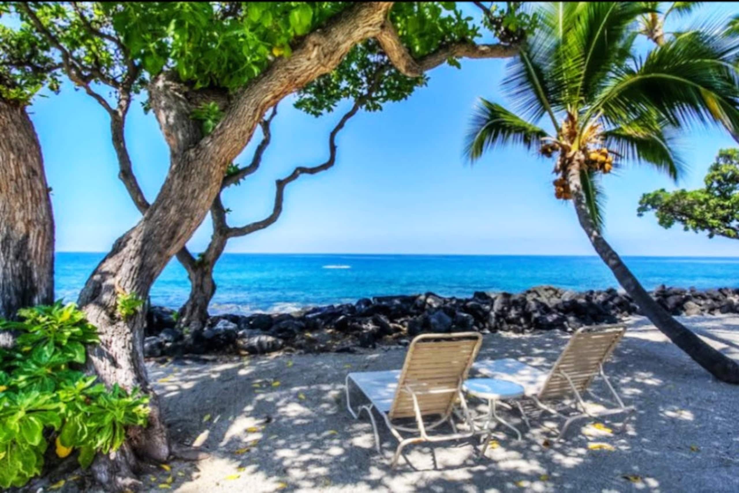 Condo in Kailua-Kona · ★4.9 · 1 bedroom · 1 bed · 1 bath - Image 1