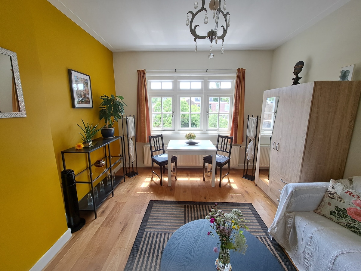 Spavanje / dnevni boravak 2 s pogledom na naš vrt u dvorištu. Ova soba također ima pravi hrastov drveni pod.
