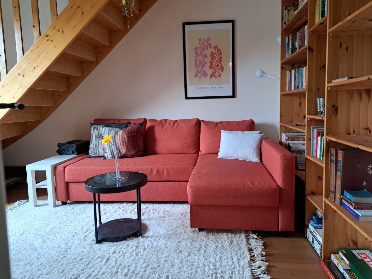 Dnevni boravak s dodatnim kaučem na razvlačenje (uključujući madrac na vrhu)
