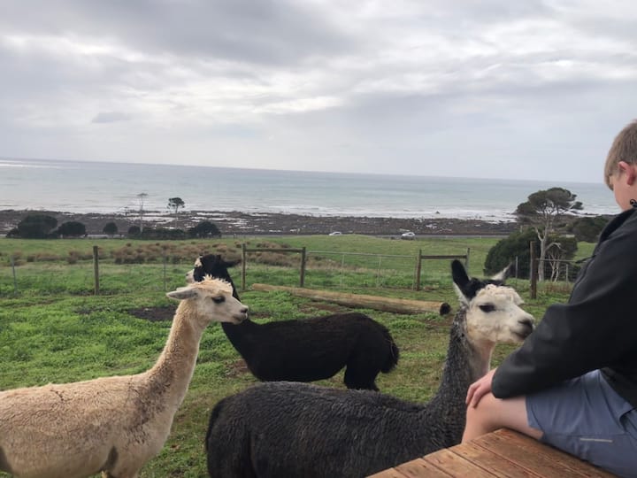 ‘Farmlet by the Sea’FarmStay in Penguin