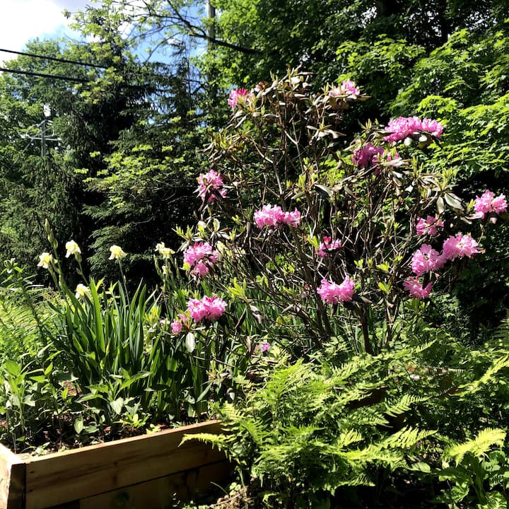 SaintAlphonsedeGranby Holiday Rentals & Homes Quebec, Canada Airbnb