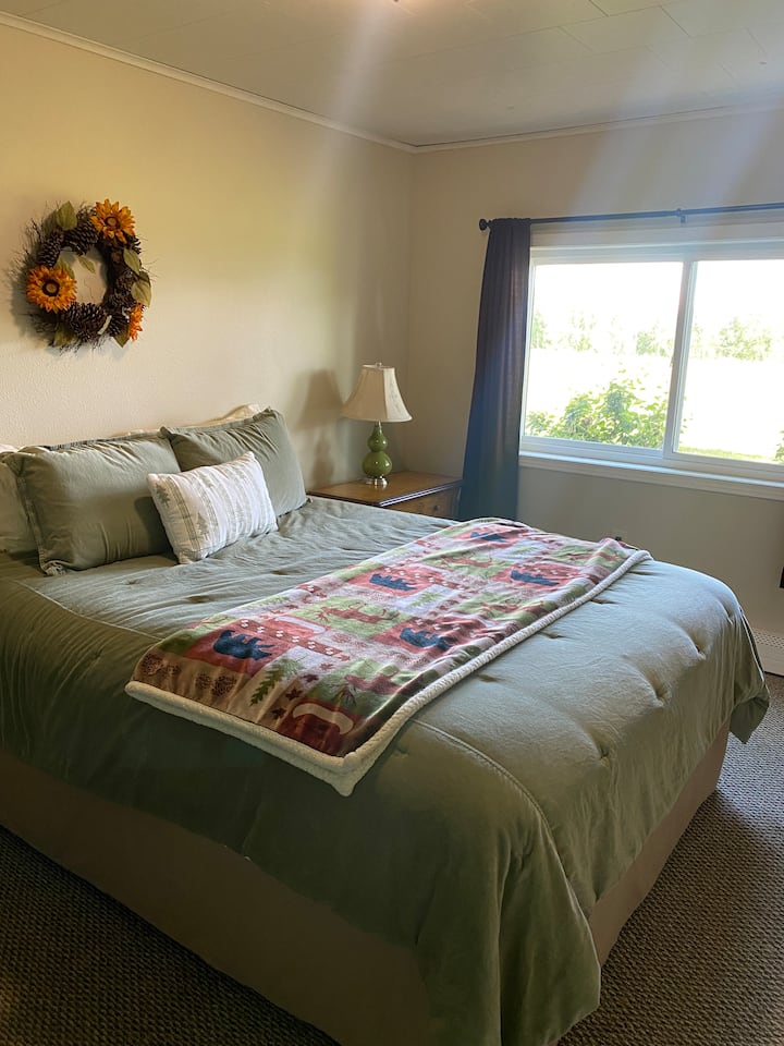 "Green Room" Downstairs bedroom with 1 queen bed. For the superstars!