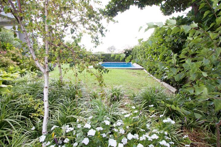 Upper Constantia Greenbelt gallery image 2