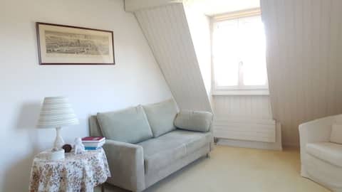 Cosy Apartment bang in the centre of Horgen