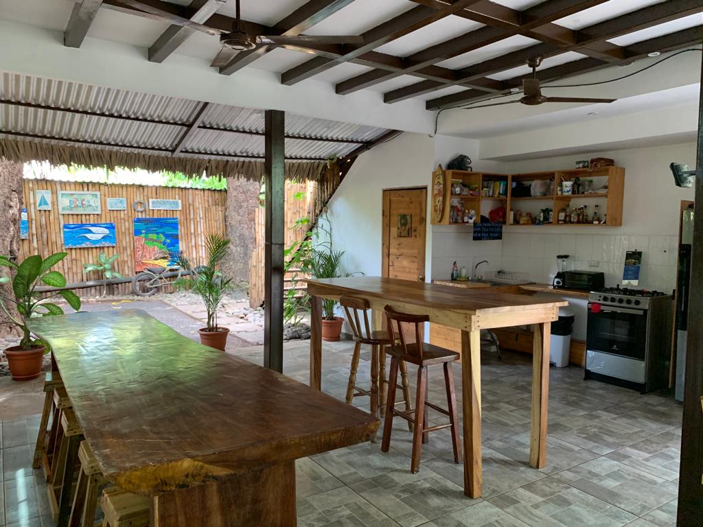 A spacious shared kitchen area is presented with wooden counters and bar stools, creating an ideal space for socializing. Brightly painted walls feature local artwork, while a variety of potted plants add greenery. A large window provides natural light, complementing the rustic tiles.