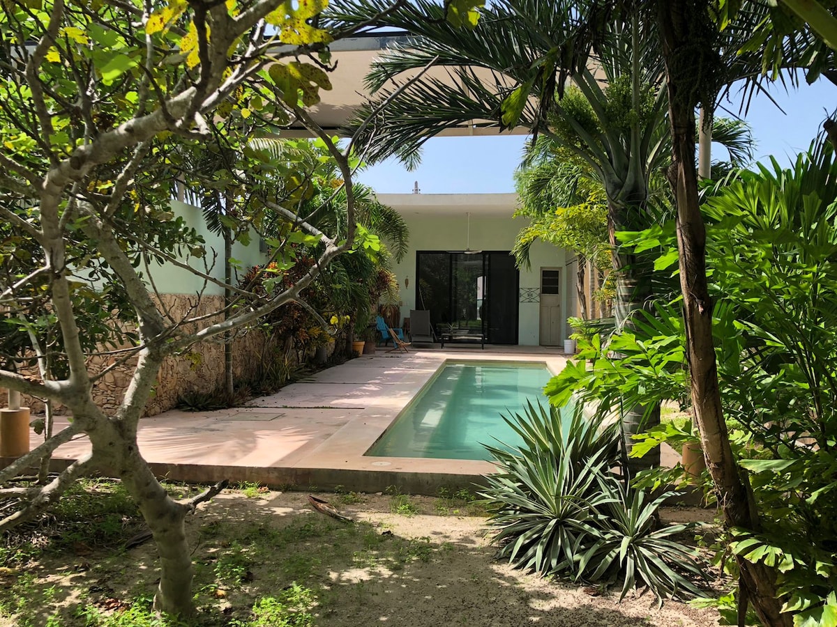 A serene outdoor area showcases a refreshing pool surrounded by lush greenery. Various tropical plants frame the space, creating a natural oasis. The entrance to the house, with glass doors, offers a glimpse of the indoor living area beyond the pool.