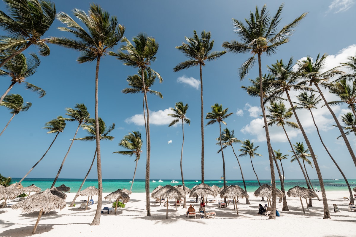 A serene beach scene features tall palm trees swaying gently in the breeze, casting shadows on the soft white sand. Several thatched umbrellas provide shaded seating areas, while the calm, turquoise waters of the ocean lie in the background, under a bright blue sky with scattered clouds.