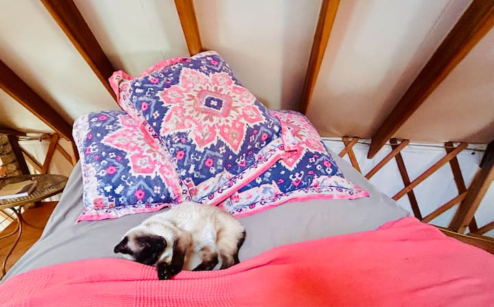 neodolateľne útulná loftová posteľ spí ešte dve - a mačka! :) 