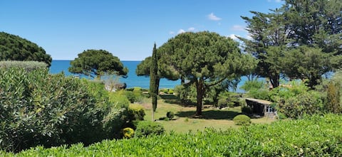 Top Airbnb: Apartment C** In 1 park 4500 m2 Direct sea access in Saint Florent