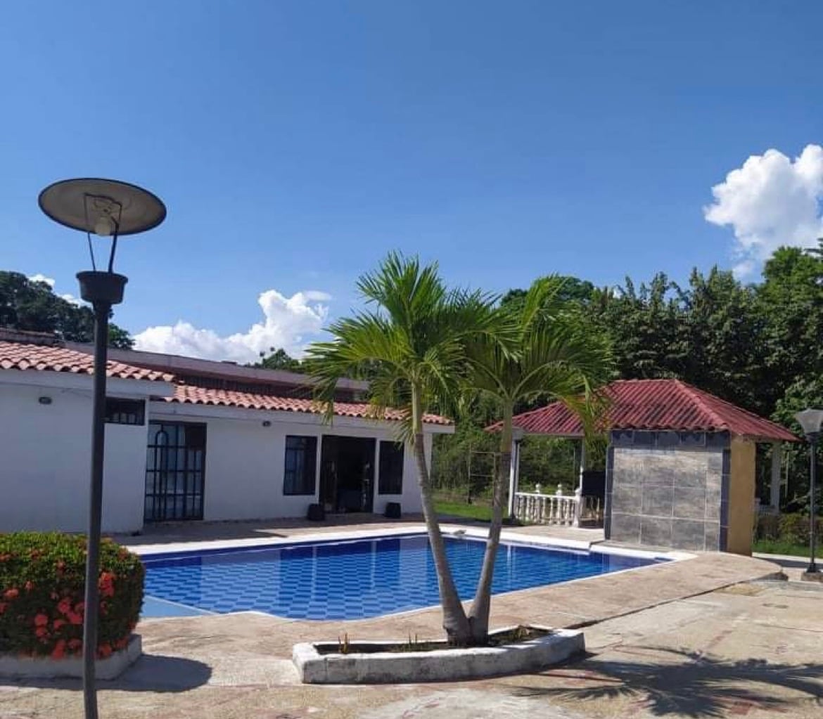 A private outdoor area features a blue-tiled pool surrounded by palm trees and neatly manicured gardens. A covered gazebo is positioned nearby, offering shaded seating. The white building with a red roof is visible in the background, creating a tranquil space for relaxation.
