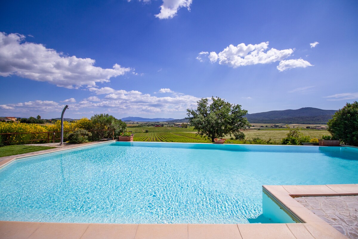 An expansive swimming pool with clear turquoise water is set against a backdrop of rolling hills and open fields. Bright blue skies are dotted with fluffy white clouds, creating a serene atmosphere. Lush greenery and vibrant flowers frame the pool area, enhancing the overall scenery.