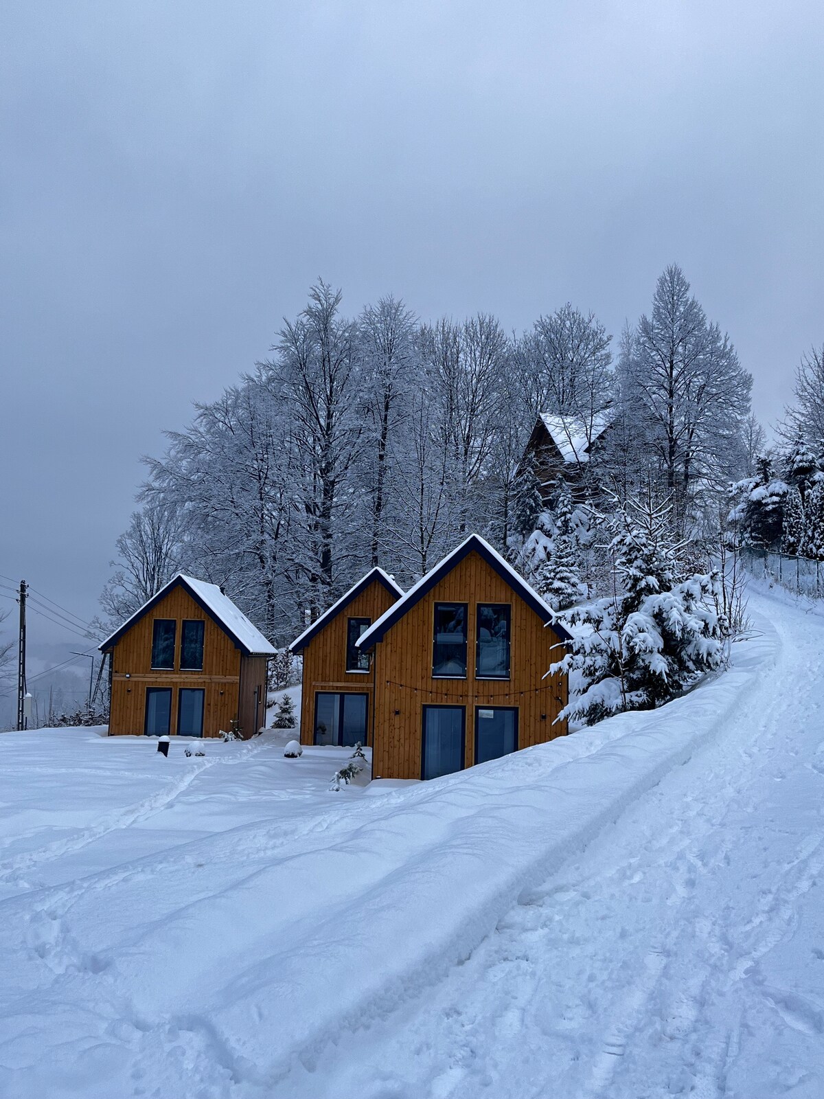 Three wooden cabins are visible amid a snowy landscape, surrounded by tall trees frosted with fresh snow. The structures feature large windows, and their triangular roofs contrast with the white snow. A pathway, lined with footprints, leads towards the cabins.
