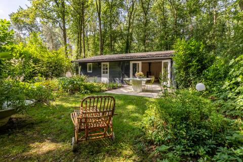 Design gazebo in the woods