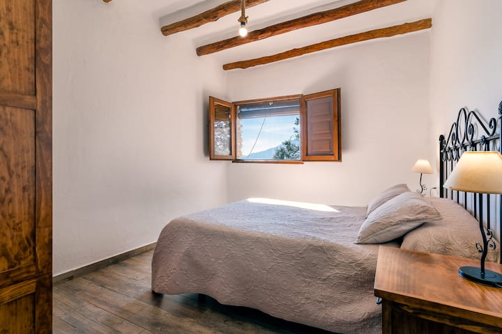 带双人床的卧室