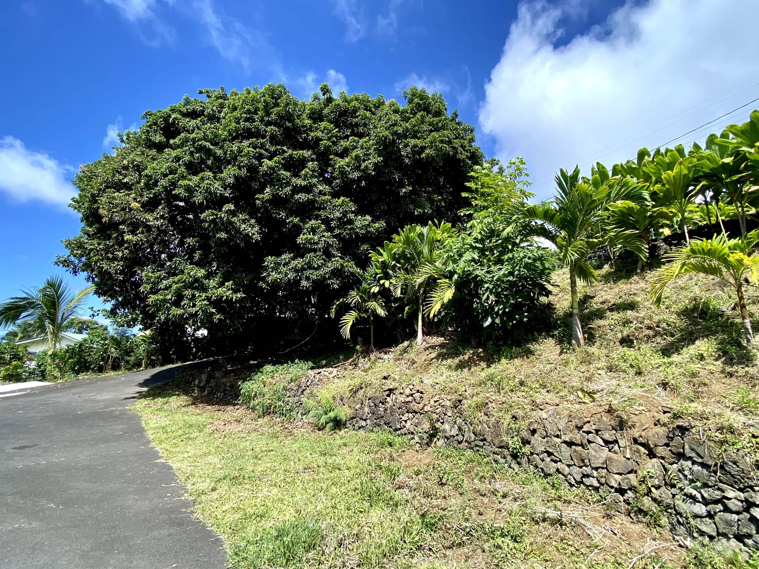Home in Kailua-Kona · ★4.91 · 3 bedrooms · 3 beds · 2 baths - Image 79