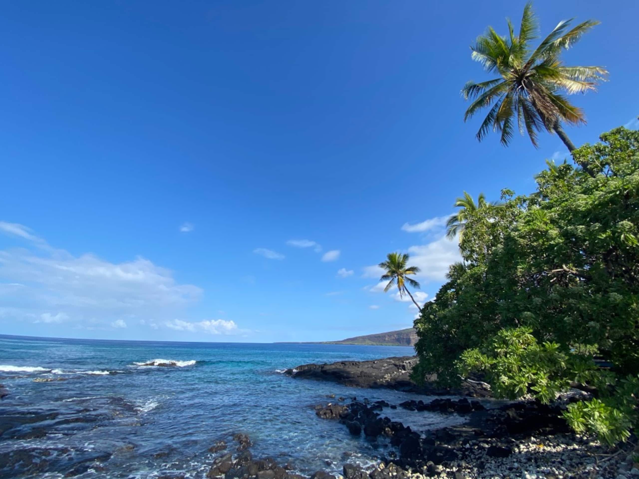 Home in Kailua-Kona · ★4.91 · 3 bedrooms · 3 beds · 2 baths - Image 135