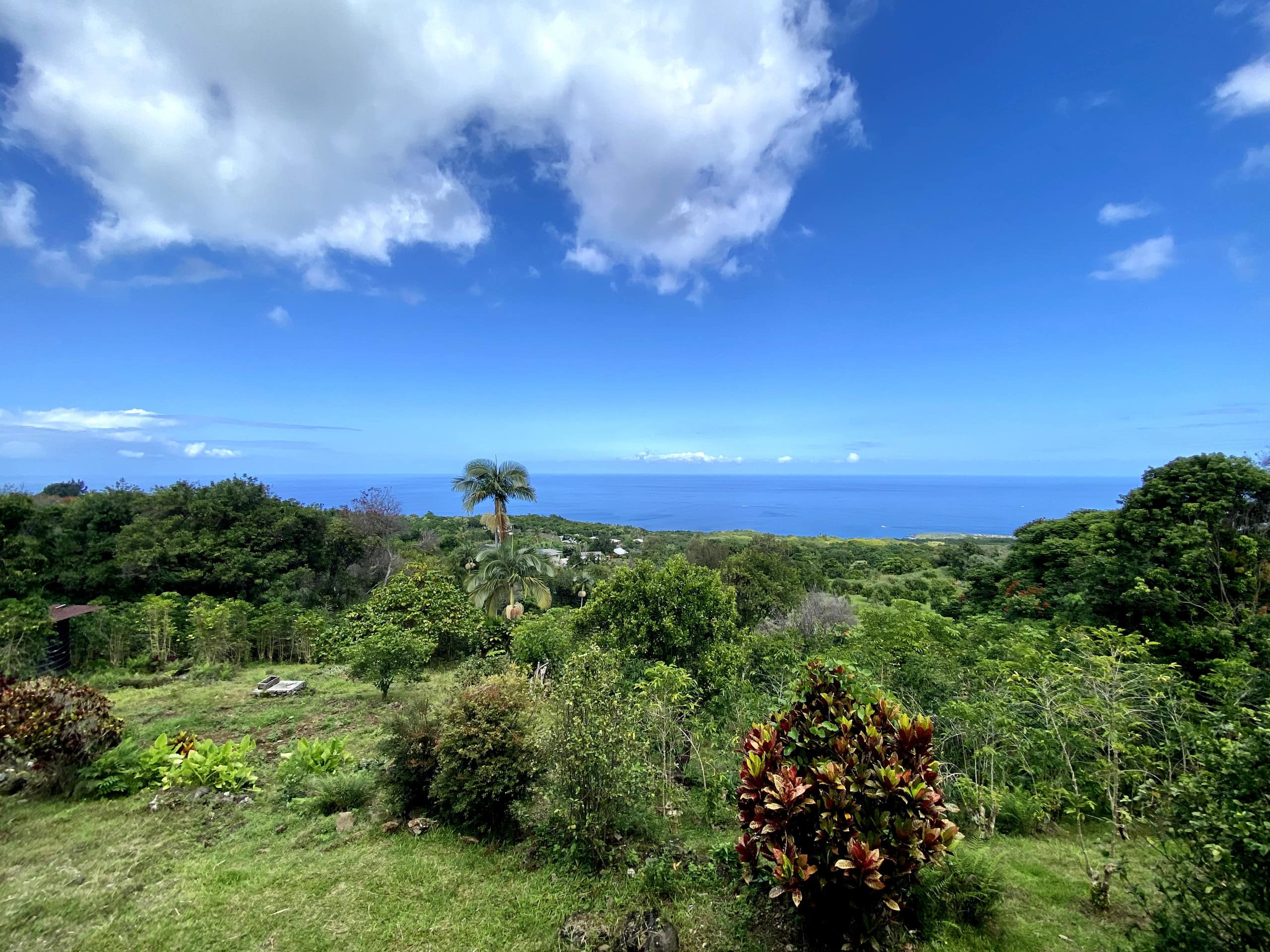 Home in Kailua-Kona · ★4.91 · 3 bedrooms · 3 beds · 2 baths - Image 76