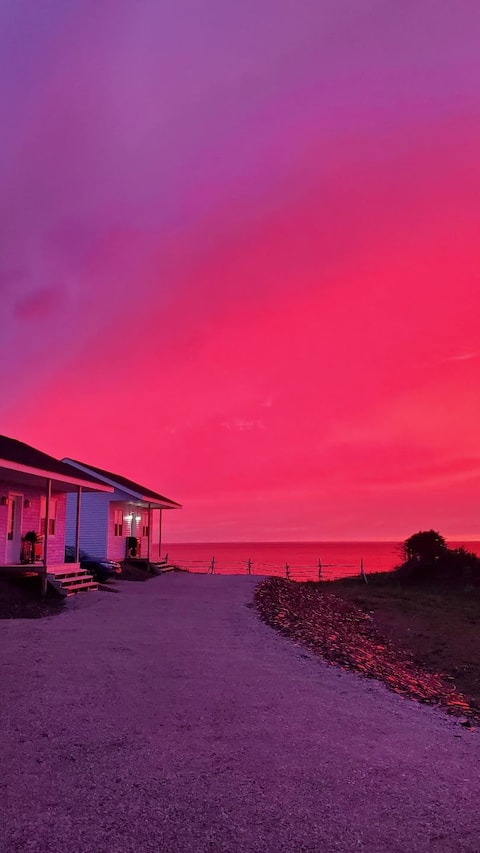 Chic Oceanfront Cottage- The Fish Sheds (Kitten's)