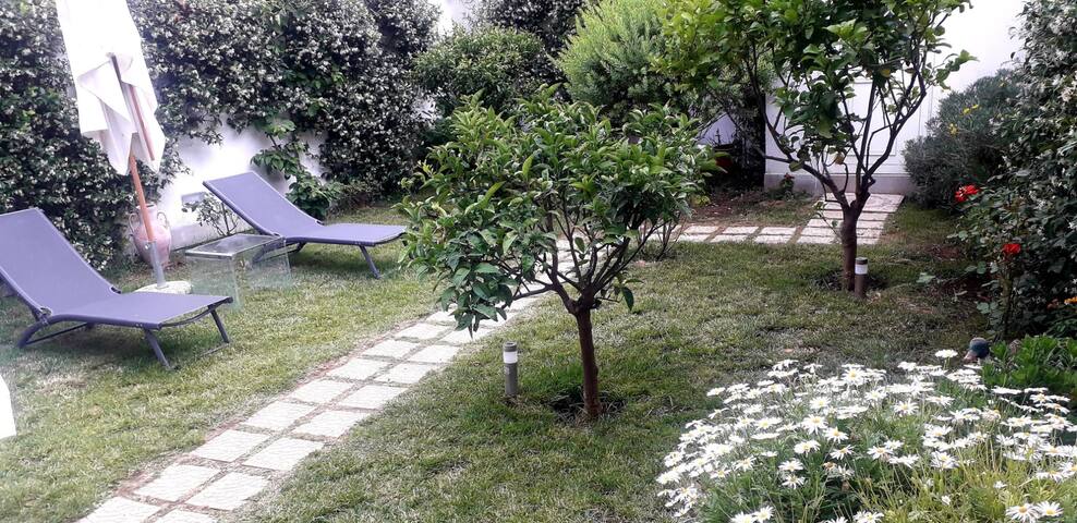 The Secret Garden in the historic center gallery image 5