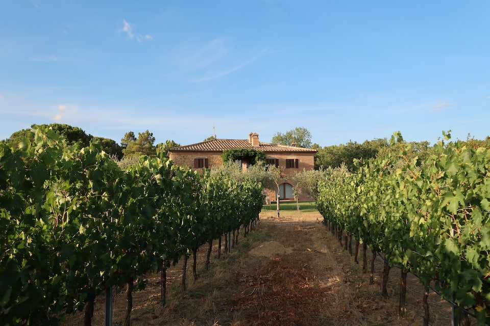 A brick farmhouse on an organic wine estate, Castiglione del Lago, Umbria, Italy, photo 7 of 10