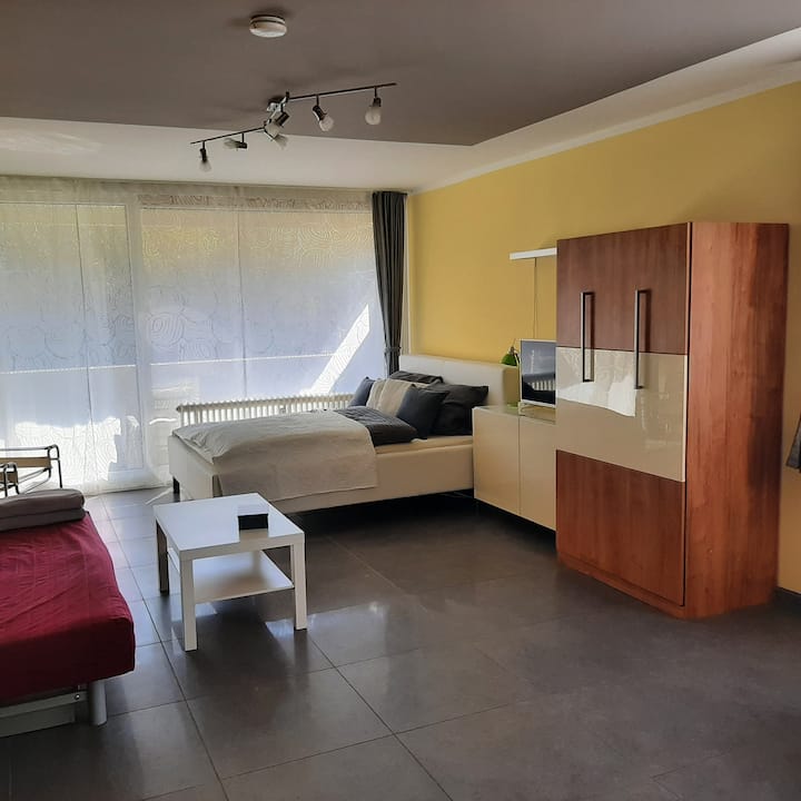 1 room apartment in the immediate vicinity of the MHH, INI Apartments