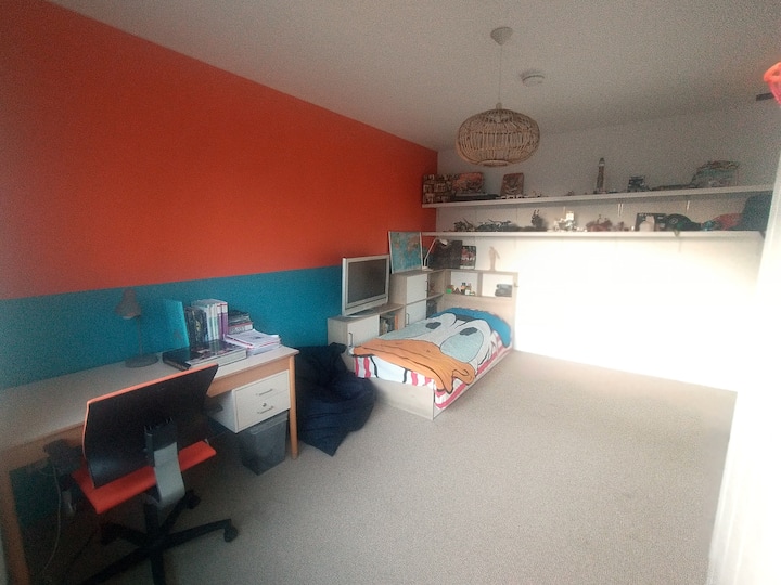 Пространа (тинејџерска) соба со единечен кревет