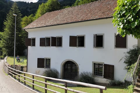 APARTMENT IN ANCIENT BUILDING IN CARNIAZoncolan