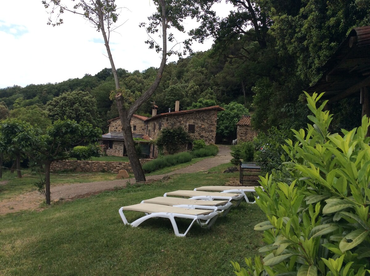 A peaceful outdoor area features sun loungers arranged on a grassy lawn. The stone farmhouse can be seen in the background, surrounded by trees and lush greenery. A pathway leads up to the house, adding to the tranquil countryside setting.