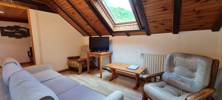 Salónik so satelitnou TV, kreslom a rozkladacou pohovkou, ak je to potrebné