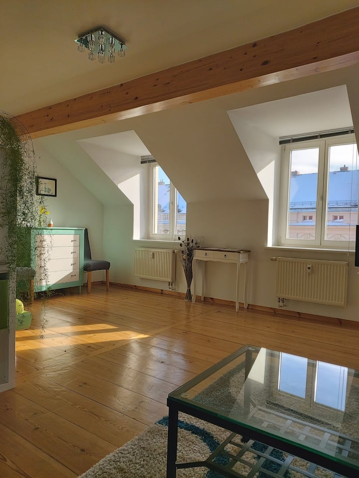 Potsdam Center and " Brandenburger Tor " Apartments for Rent in